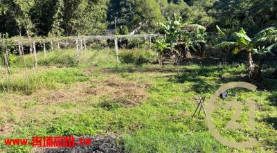 ●新埔鎮 ~  ㊣2米路旁98坪農地 ●可使用196坪視意圖